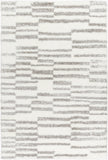 Cloudy Shag CDG-2328 7'10" x 10' Machine Woven Rug CDG2328-71010 Livabliss Surya