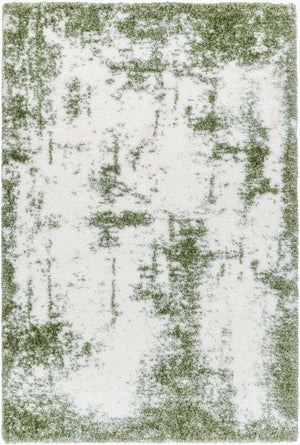 Livabliss Cloudy Shag Polyester Area Rug Plush Pile for Living Room or Bedroom Decor White, Grass Gr 5'3" x 7' CDG2329-537