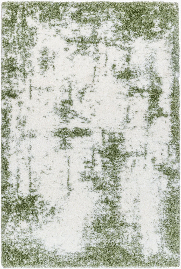 Livabliss Cloudy Shag Polyester Area Rug Plush Pile for Living Room or Bedroom Decor White, Grass Gr 5'3" x 7' CDG2329-537