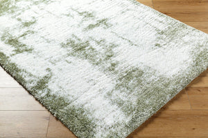 Livabliss Cloudy Shag Polyester Area Rug Plush Pile for Living Room or Bedroom Decor White, Grass Gr 5'3" x 7' CDG2329-537