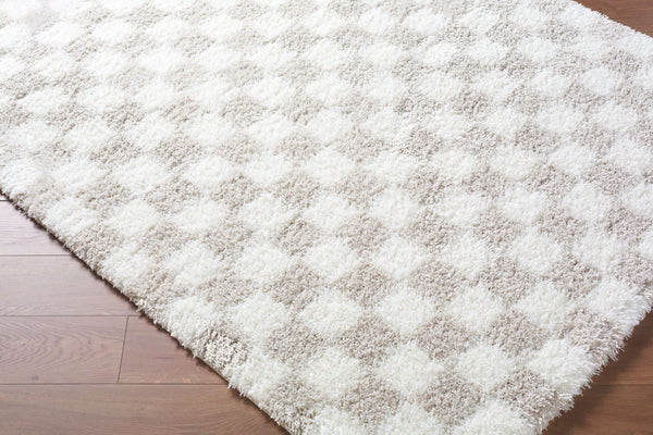Livabliss Cloudy Shag Plush Polyester Area Rug Art Deco Style Turkish Woven Living Room Accent Ivory, Light Be 5'3" x 7' CDG2330-537