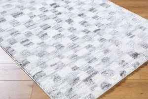 Livabliss Cloudy Shag Polyester Area Rug Machine Woven Plush Pile for Living Room or Bedroom Ivory, Gray 5'3" x 7' CDG2332-537