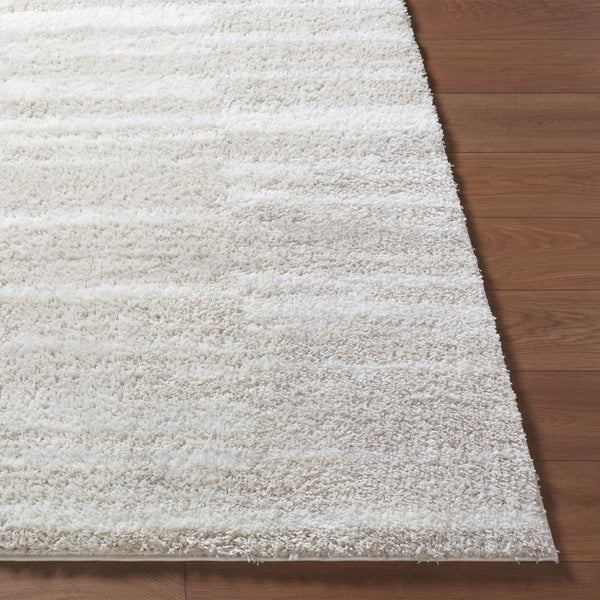 Livabliss Cloudy Shag Polyester Area Rug Art Deco Machine Woven Plush Pile for Living Rooms Ivory, Light Be 5'3" x 7' CDG2333-537