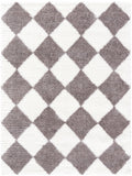 Cloudy Shag Machine Woven Rug CDG-2339