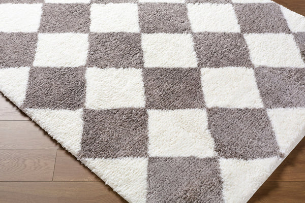 Livabliss Cloudy Shag High Pile Polyester Rug for Cozy Living Rooms and Bedroom Floors Brown, Ivory 5'3" x 7' CDG2339-537