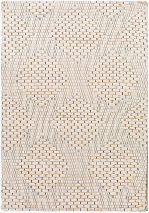 Surya Colarado 2' X 3' Handmade Wool Rug – Stylish, Easy-care, Modern Design For Any Home Decor Black Wool Cdo2300-23