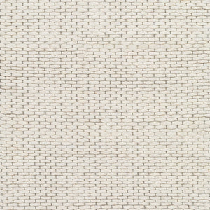 Surya Colarado 2' X 3' Handmade Wool Rug – Stylish, Easy-care, Modern Design For Any Home Decor Ivory Wool Cdo2307-23