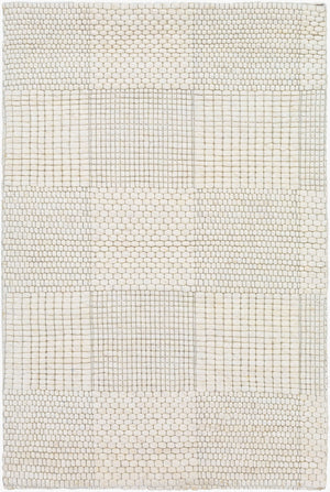 Surya Colarado 2' X 3' Handmade Wool Rug – Stylish, Easy-care, Modern Design For Any Home Decor Ivory Wool Cdo2310-23