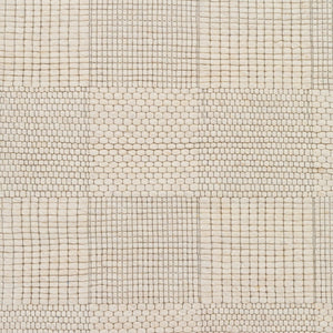 Surya Colarado 2' X 3' Handmade Wool Rug – Stylish, Easy-care, Modern Design For Any Home Decor Ivory Wool Cdo2310-268