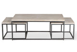 Parker House Crossings Monaco Rectangular Nesting Cocktail Table Weathered Blanc Solid Mango MON#01