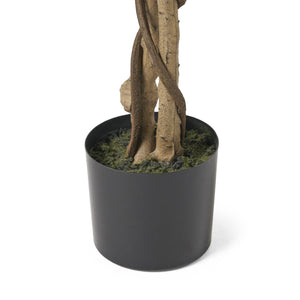 English Elm 150cm Artificial Ficus Tree Twisted Trunk Glossy Foliage Indoor Floor Statement Plant 70516.00
