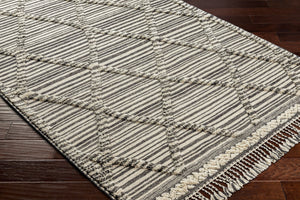 Surya Cadiz Handmade 2' X 3' Wool Rug – Luxurious Moroccan Style With Hand-knotted Detail & Fringe Texture Ivory Wool Cdz2300-23