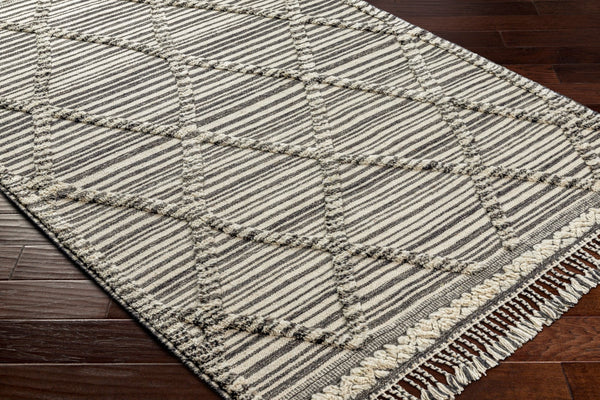 Surya Cadiz Handmade 2' X 3' Wool Rug – Luxurious Moroccan Style With Hand-knotted Detail & Fringe Texture Ivory Wool Cdz2300-23