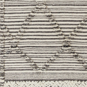 Surya Cadiz Handmade 2' X 3' Wool Rug – Luxurious Moroccan Style With Hand-knotted Detail & Fringe Texture Ivory Wool Cdz2300-23