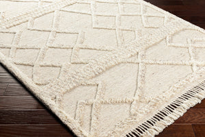 Cadiz CDZ-2303 8' x 10' Handmade Rug CDZ2303-810  Light Beige, Medium Gray, Cream Surya