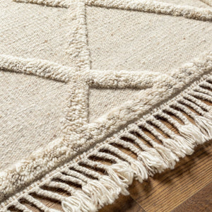 Surya Cadiz Handmade 2' X 3' Wool Rug – Luxurious Moroccan Style With Hand-knotted Detail & Fringe Texture Light Beige Wool Cdz2303-23