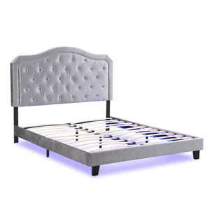 English Elm Upholstered Queen Platform Bed Grey Velvet Tufted Curved Headboard with Led Lighting W311P228694
