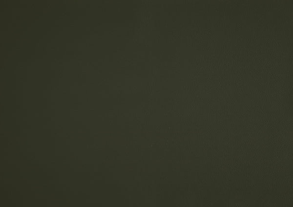 English Elm Leather Slipper Chair Top Grain Leather Upholstered Accent Seat High-Density Foam Durable Comfort Green 29.5 L x 33.5 W x 26.75 H B011P315631