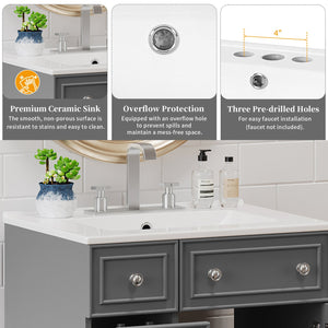 English Elm 24" Gray Bathroom Vanity Cabinet with Ceramic Sink, Soft-Close Door, 2 Drawers, Smart Storage, Durable Design N729P264336E