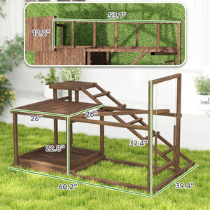 English Elm Pet Chicken Activity Play Set Solid Fir Wood Swing Ladder Perch Feeder Enrichment T3971P412299