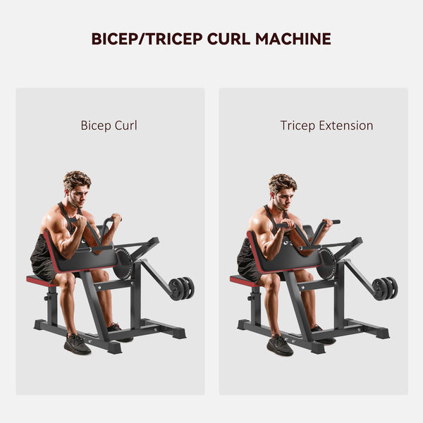 English Elm Soozier Plate Loaded Preacher Curl Bench with Adjustable Seat for Home Gym Training W2225P229140