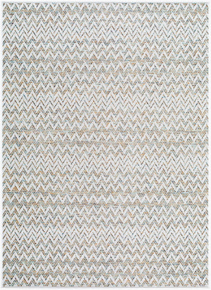Livabliss Crete Flatweave Polypropylene Area Rug Farmhouse Cottage Style for Living Dining Rooms Ivory, Sand 6'3" x 9' CEE2300-679