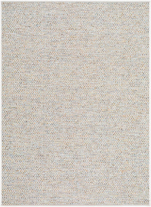 Livabliss Crete Farmhouse Polypropylene Area Rug No Shed Weave for Indoor Outdoor Living Spaces Ivory, Sandston 7'6" x 10' CEE2303-71010