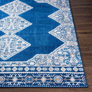 Livabliss Cesar Geometric Turkish Woven Polypropylene Area Rug for Living Room or Dining CEG2324-679