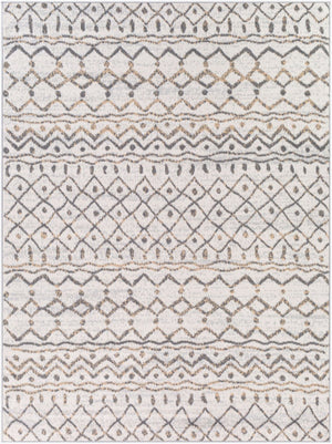 Livabliss Cesar Global Inspired Polypropylene Area Rug Medium Pile for Living and Dining Rooms CEG2328-679