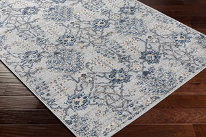 Livabliss Cesar Traditional Polypropylene Woven Area Rug for Living Room Dining and Entryway CEG2329-537
