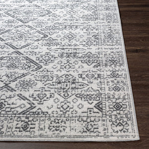 Livabliss Cesar Bohemian Machine Woven Polypropylene Area Rug with Medallion Motifs for Living Rooms Charcoal, Gray 5'3" x 7' CEG2332-537