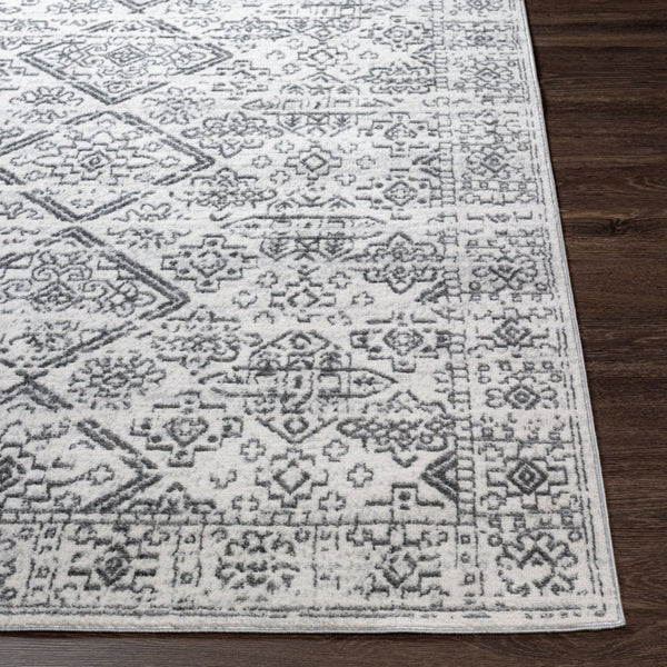 Livabliss Cesar Bohemian Machine Woven Polypropylene Area Rug with Medallion Motifs for Living Rooms Charcoal, Gray 5'3" x 7' CEG2332-537