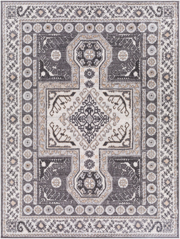 Livabliss Cesar Traditional Motif Polypropylene Area Rug Medium Pile for Living and Dining Rooms CEG2345-679