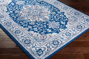 Livabliss Cesar Machine Woven Polypropylene Area Rug Turkey Crafted for High Traffic Rooms CEG2354-679