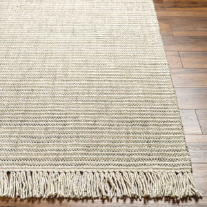 Cecelia CEI-2300 9' x 12' Handmade Rug CEI2300-912  Olive, Black, Light Gray, Medium Gray Surya
