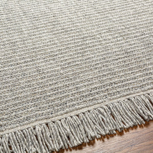 Surya Cecelia 2' X 3' Handcrafted Cottage-style Area Rug With Fringe - Durable Wool & Jute Blend, Versatile Light Gray Wool,Polyester,Jute Cei2301-23