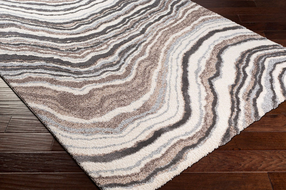 Livabliss Cielo High Pile Machine Woven Polypropylene Rug for Entryways and Bedside Areas CEL2301-23