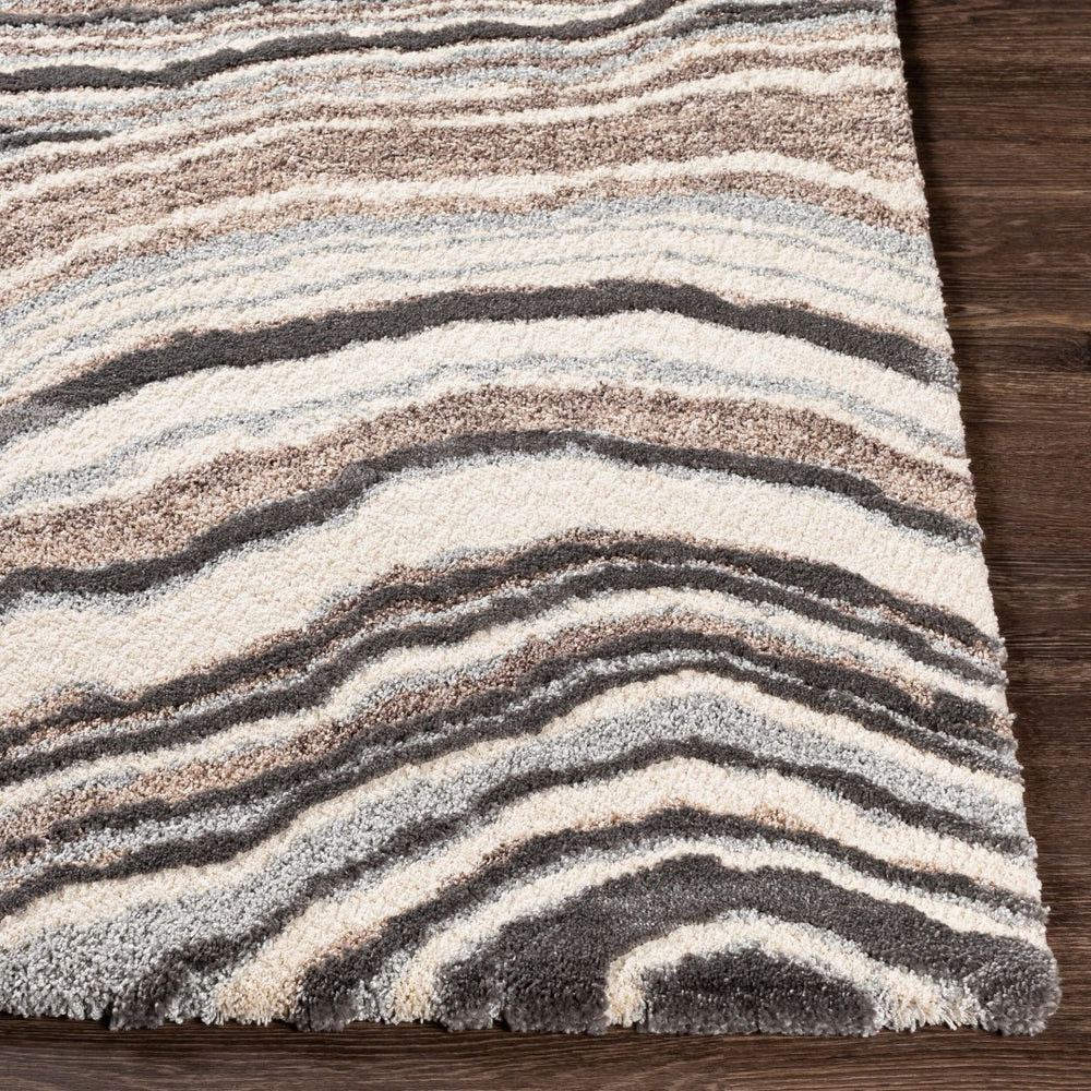 Livabliss Cielo High Pile Machine Woven Polypropylene Rug for Entryways and Bedside Areas CEL2301-23