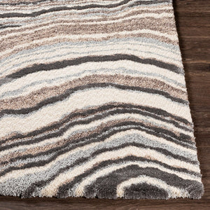 Livabliss Cielo High Pile Machine Woven Polypropylene Rug for Entryways and Bedside Areas CEL2301-23