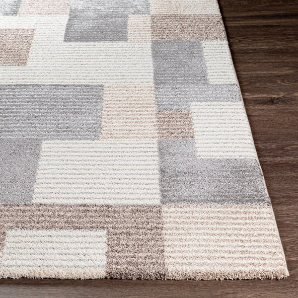 Livabliss Cielo High Pile Accent Rug Soft Polypropylene Blend for Bedroom or Entryway Light Gray, Gra 8'10" x 12' CEL2306-912