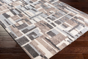 Livabliss Cielo Turkish Machine Woven Plush Area Rug Polypropylene Blend Entryway Accent CEL2310-23