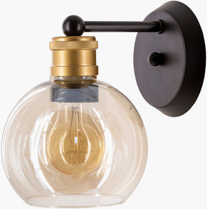 Livabliss Coley Metal and Glass Wall Sconce Compact Traditional Ambient Light for Hallways CEY-001