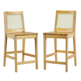 Solid Wood Counter Stool with Rattan Back Insert - Set of 2 Natural CATD7DNA Walker Edison