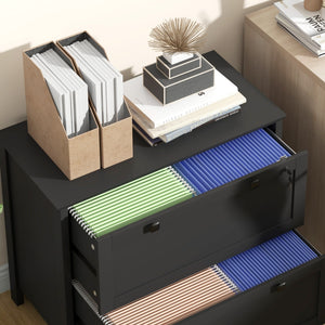 English Elm File Cabinet Two Drawer Locking Matte Black Home Office Organizer with Printer Stand Top T3971P412238