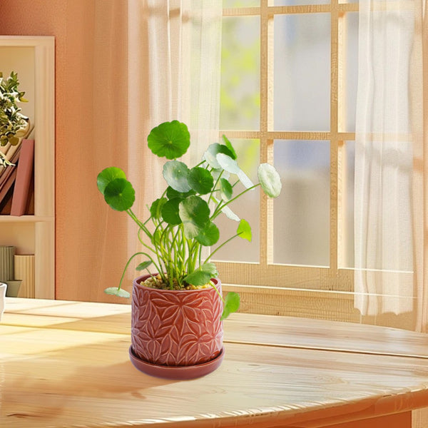 English Elm Set Of 2 Ceramic Flowerpots - 7" Stylish Red Planters For Indoor & Outdoor Plant Displays W3273P322543-GIGA