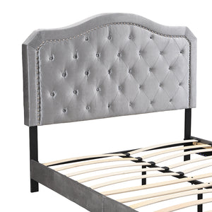 English Elm Upholstered Diamond Button Tufted Platform Bed with Velvet, LED Ambient Lighting, Sturdy Slats Light Gray 65.75 L x 34.43 W x 4.72 H W2297P268386