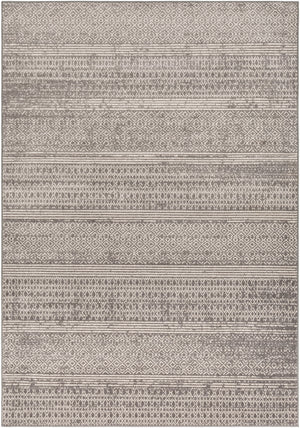 Chester CHE-2304 6'7" x 9' Machine Woven Rug CHE2304-679 Livabliss Surya