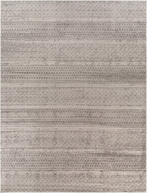 Livabliss Chester Global Pattern Polypropylene Area Rug Turkish Woven Living Room Accent CHE2304-710103