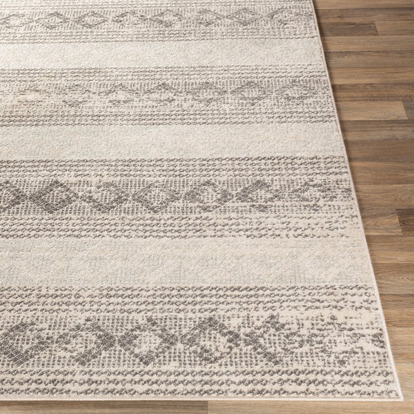 Livabliss Chester Geometric Polypropylene Area Rug Turkey Woven Medium Pile Living Room CHE2308-5373