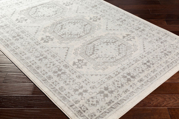 Livabliss Chester Global Pattern Polypropylene Runner Rug for Hallways and Entryways Seafoam, Charco 8'10" x 12' CHE2309-912